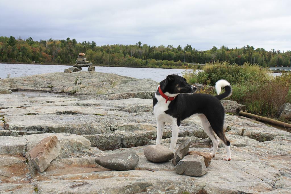 Carolyn Beach Inn Thessalon エクステリア 写真